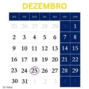 Calendário - Dezembro-24 - Feriados