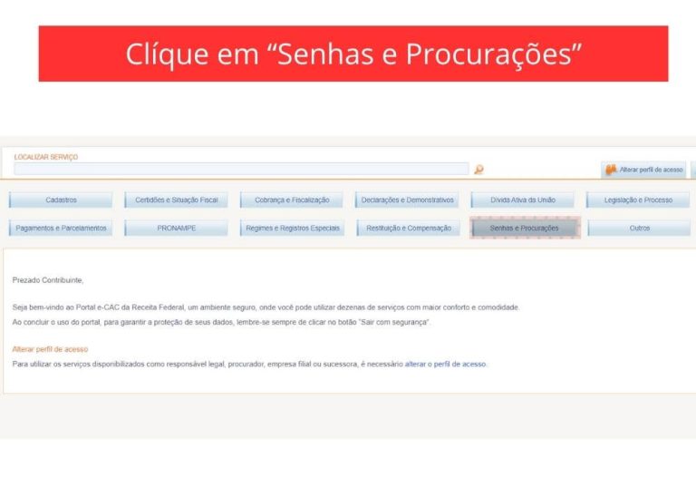 Passo 3 - Cadastro de Procuração Digital no e-CAC - Tela de serviços