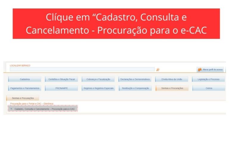 Passo 4 - Cadastro de Procuração Digital no e-CAC - Tela de senhas e procurações