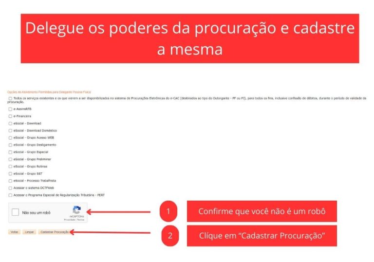 Passo 7 - Cadastro de Procuração Digital no e-CAC - Tela de poderes da procuração