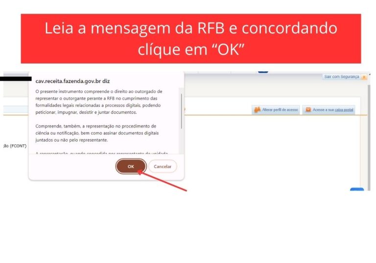 Passo 8 - Cadastro de Procuração Digital no e-CAC - Tela do Termo de aceite